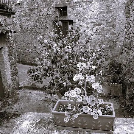 Apartment Casa Di Marco Ricco del Golfo di Spezia